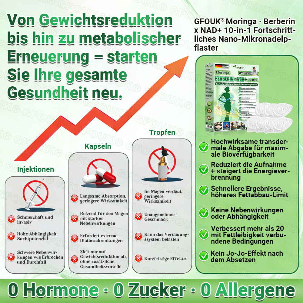 Offizieller 🇩🇪  Moringa · Berberin × NAD+ 10-in-1 Nano Mikronadel-Patch 🇩🇪