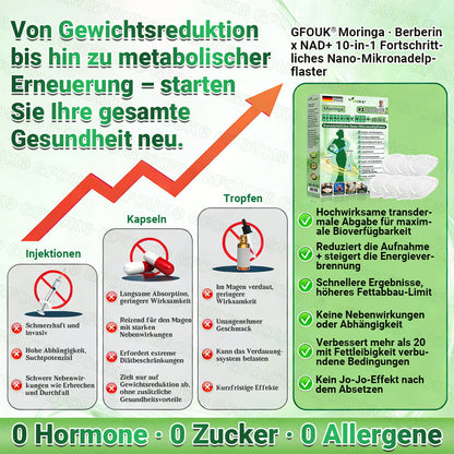 Offizieller 🇩🇪  Moringa · Berberin × NAD+ 10-in-1 Nano Mikronadel-Patch 🇩🇪