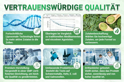 Offizieller 🇩🇪  Moringa · Berberin × NAD+ 10-in-1 Nano Mikronadel-Patch 🇩🇪